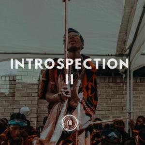 VA – Introspection Part II-fakazahiphop