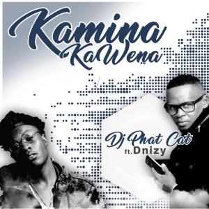 DJ Phat Cat – Kamina Kawena (feat. Dnizy)