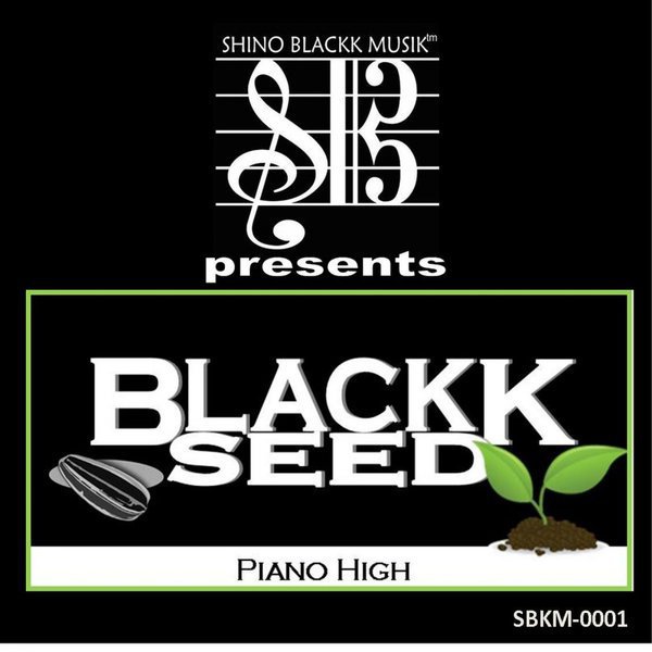BlackkSeed – Piano High