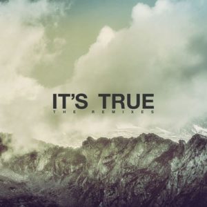Michael Ashe – It’s True The Remixes