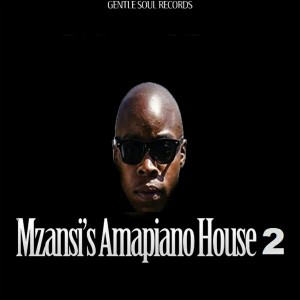 VA – Mzansi’s Amapiano House 2