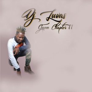 ALBUM : DJ LUVAS – Gqom Chapter 11