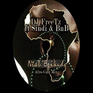 MP3 DOWNLOAD: DJ Freetz ft. Sindi & BNB – Ntab’ Ezikude (Afro-Cafe Mix)