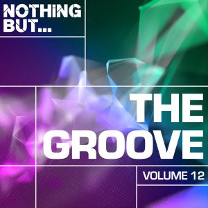 ALBUM DOWNLOAD : VA – Nothing But… The Groove, Vol. 12