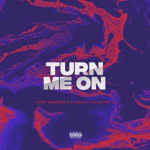 MP3 : Afro Warriors & Dj Sing ft. Charlene Lai – Turn Me On (Vocal Mix)