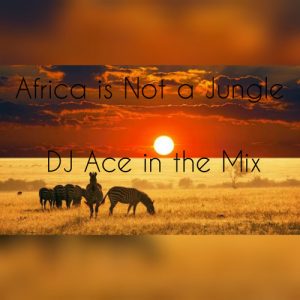 DJ Ace – Africa is Not a Jungle Mix