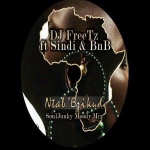 DJ Freetz – Ntab’ Ezikude (SoulJunky Moody Remix) [EP Download]