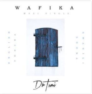 MP3 DOWNLOAD: Dr Tumi – Wafika (Shona Version)