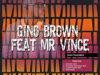 Gino Brown Feat. Mr Vince – Shay′INumber (Kususa Remix) [MP3]