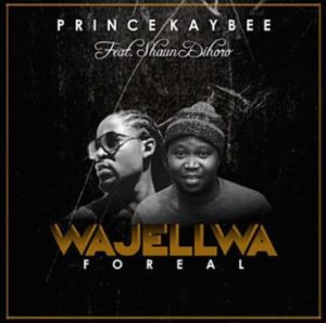 Prince Kaybee – Wajellwa (Audio Download)