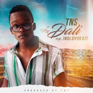 TNS Feat. Indlovukazi – My Dali (MP3 DOWNLOAD)