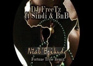 DJ FreeTz – Ntab’ Ezikude (Fortune Tribe Remix) [MP3]