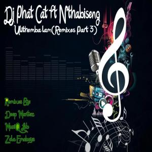 DJ Phat Cat – Ulithemba lam (MusiQ Lab Remix) Ft. Nthabiseng [Mp3 Download]