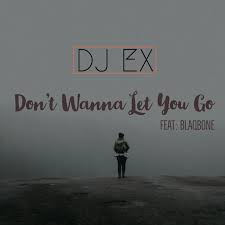 DJ EX ft. Blaqbone – Don’t Wanna Let You Go [Mp3 Download]