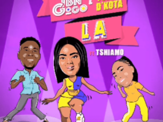 DBN Gogo x Tumza D’kota – La (Original Mix) Ft. Tshiamo