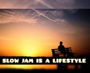 DJ Ace – Slow Jam Is A LifeStyle (AmaPiano Mix)-fakazahiphop