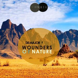 DeMajor – Zulu Ritual (Original Mix)-fakazahiphop