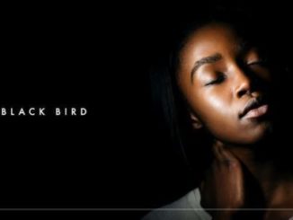 Dennis Cruz & Ian Ludvig – Black Bird (Original Mix)-fakazahiphop