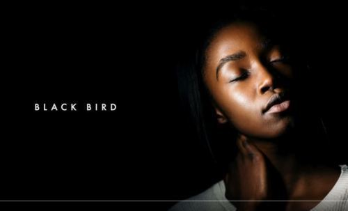 Dennis Cruz & Ian Ludvig – Black Bird (Original Mix)-fakazahiphop