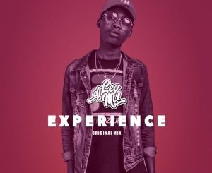 Dj Leo Mix – Experience (Original Mix)-fakazahiphop