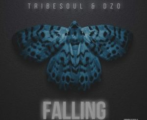 Tribesoul & Dzo – Falling (Original Mix)