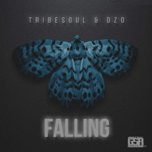 Tribesoul & Dzo – Falling (Original Mix)