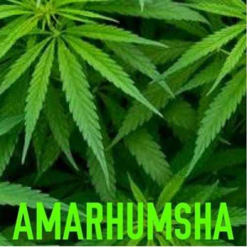 AMARHUMSHA – Khwela Sewubhatele