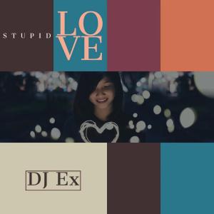 DJ Ex – Stupid Love (Original Mix)