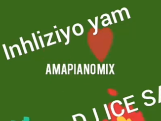 DJ Ice SA – Inhliziyo Yam (AmaPiano Remix)