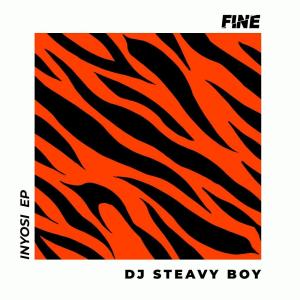 DJ Steavy Boy – Inyosi EP