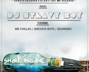 DJ Steavy Boy – Shake Ingane (feat. Mr. Chillax, Groova Boys & Sdunkero)