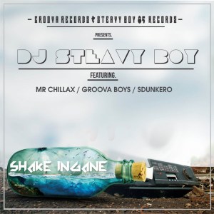 DJ Steavy Boy – Shake Ingane (feat. Mr. Chillax, Groova Boys & Sdunkero)