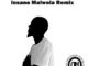 Irie Drums – The Light (Insane Malwela Remix)