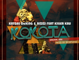 KayGee DaKing & Bizizi – Kokota Ft Killer Kau