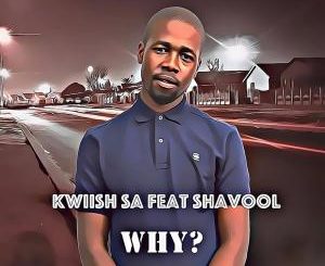 Kwiish SA feat. Shavool – Why