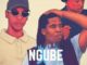 Musical Vine & Mbuckza – Ngube (feat. Manzo)