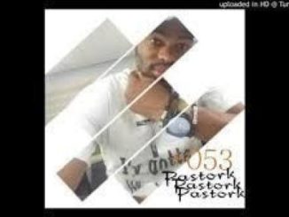 Pastork – Something About You (Remix) [MP3]