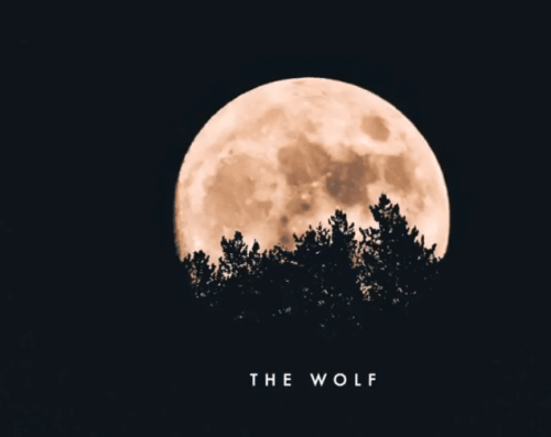 THEMBA (SA) – The Wolf (Original Mix)