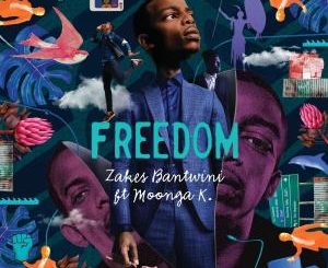 Zakes Bantwini – Freedom (feat. Moonga K)