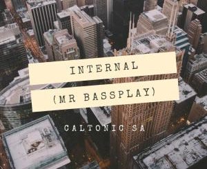 Caltonic SA – Internal (Mr Bassplay)