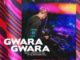DJ Misterhustla – Gwara Gwara (Gqom Mix)