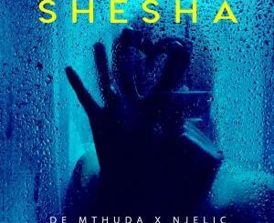 De Mthuda & Njelic – Shesha