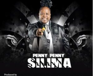 Penny Penny – Silima (Amapiano Beef To Malema)