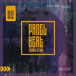 VA – Panel Beat Compilation