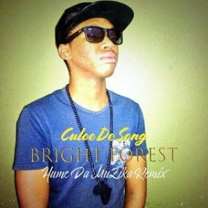 Culoe De Song – Bright Forest (Hume Da Muzika Remix)