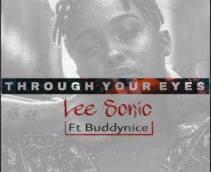 Lee Sonic & Buddynice – Through Your Eyes (Remixes Part2)