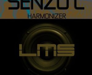 Senzo C – Harmonizer