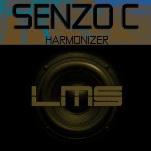 Senzo C – Harmonizer