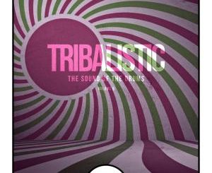 Tribalistic, Vol. 6 (The Sound Of The Drums)