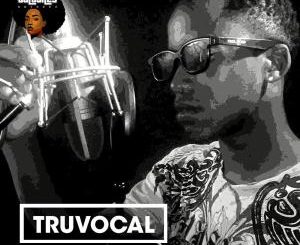 Truvocal – Accusations EP